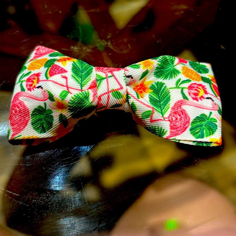 Dog or cat bow tie